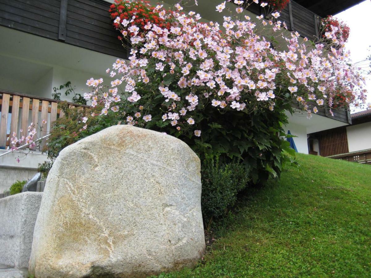 Appartements Bachler Brixen im Thale Zewnętrze zdjęcie