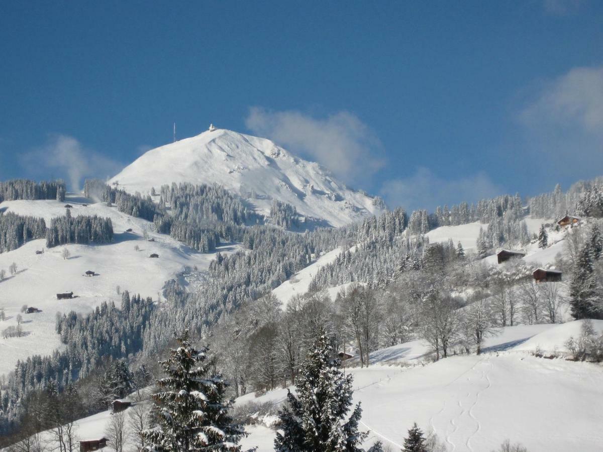 Appartements Bachler Brixen im Thale Zewnętrze zdjęcie